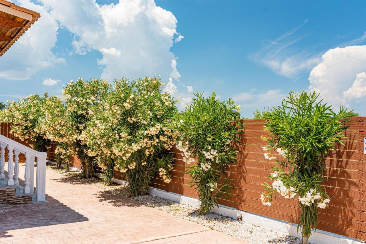 Blossom Villa Лаганас Екстер'єр фото